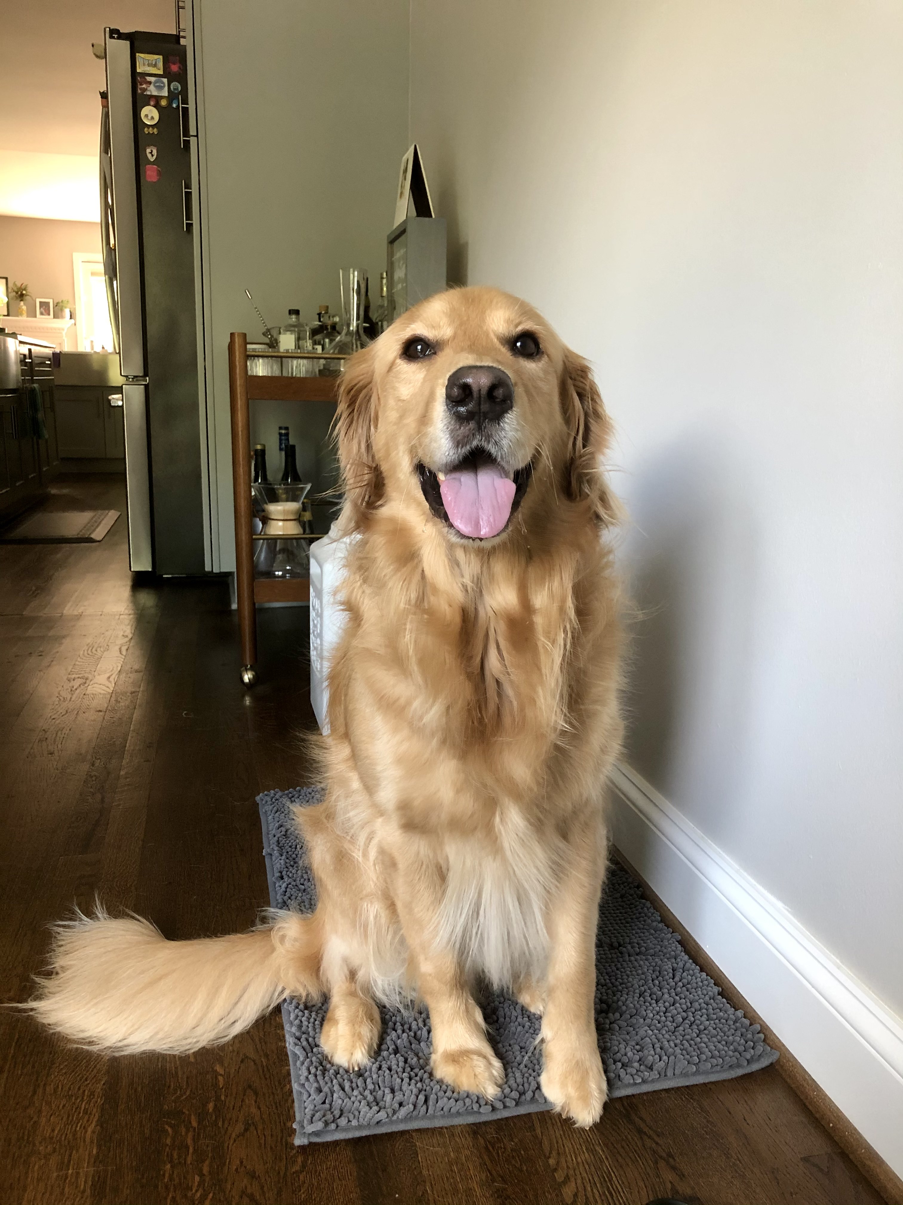  Muddy Mat® Doggy Dryer, Highly Absorbent Microfiber